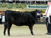 113 57  Diana Kagelmann, Dietz, 38458 Velpke NS